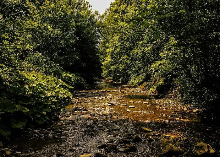 Casa vacanze Nad Potokiem Gronkow